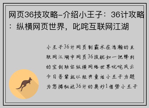 网页36技攻略-介绍小王子：36计攻略：纵横网页世界，叱咤互联网江湖